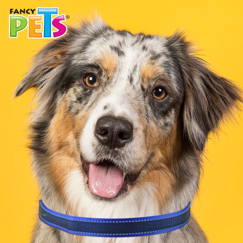 Fancy Pets Correa con Ultra Grip y Bandas Refle... image number null