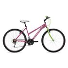 Bicicleta Benotto Monta&ntilde;a LYNX R26 Acero 18V. Rosa Brillante/Verde Aperlado Mujer