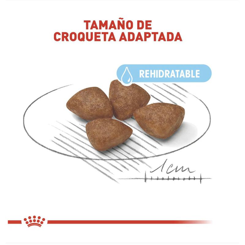 Royal Canin Small Starter Mother & Baby 6.36 Kg image number null