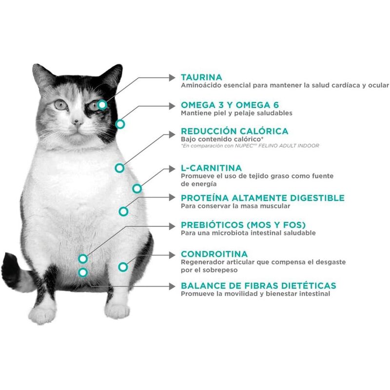 Nupec Felino Weight Care 1.5kg mas Pelota Spiny... image number null