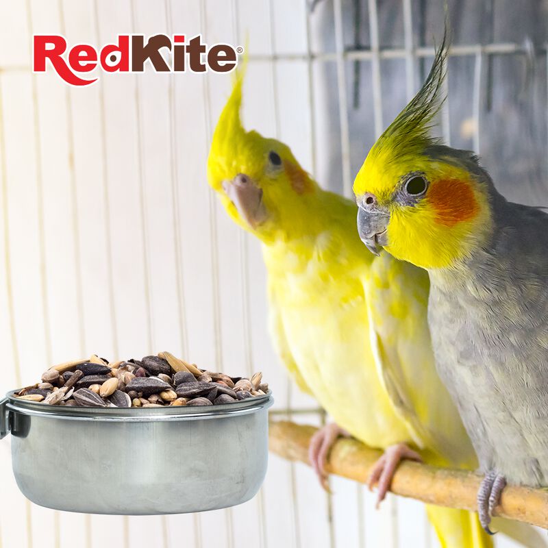 Redkite Plato De Acero Con Abrazadera Para Jaul... image number null