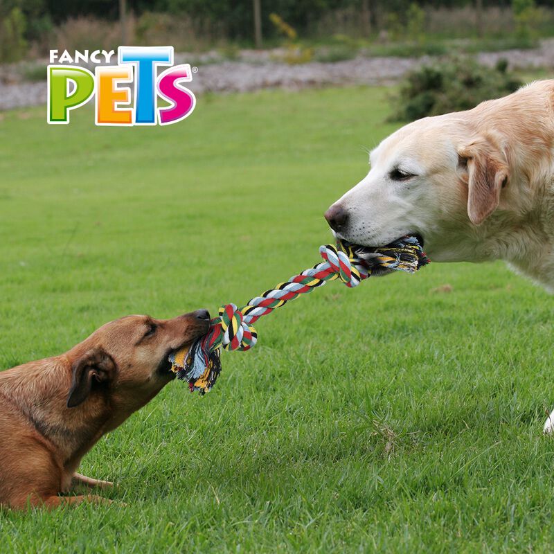 Fancy Pets Juguete en Froma de Hueso de Hilo pa... image number null