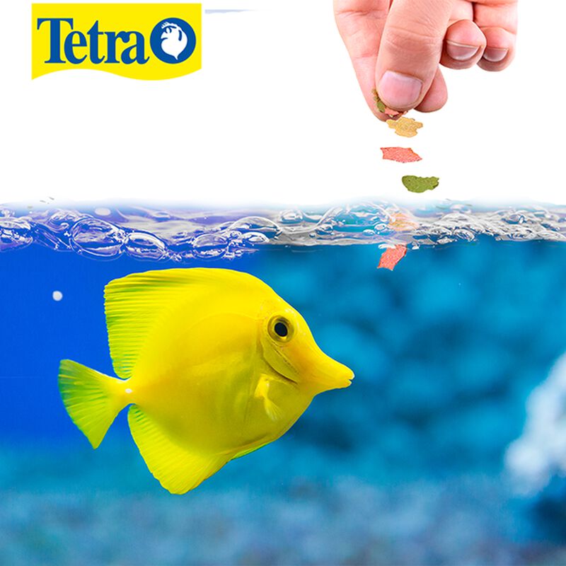Tetra Marine Saltawater Flakes 160 G image number null