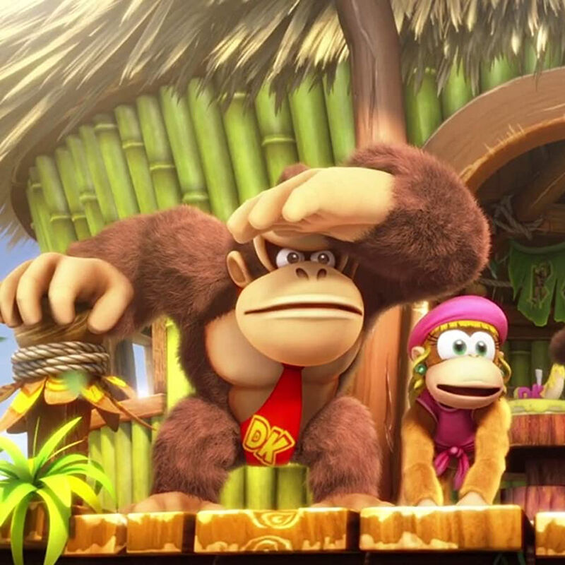 Donkey kong country tropical freeze switch image number null