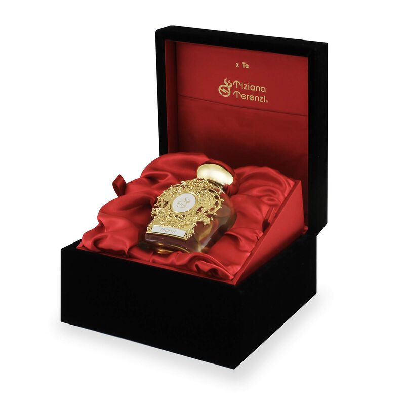 Perfume Tiziana Terenzi Assoluto Adhil Edp 100 ... image number null