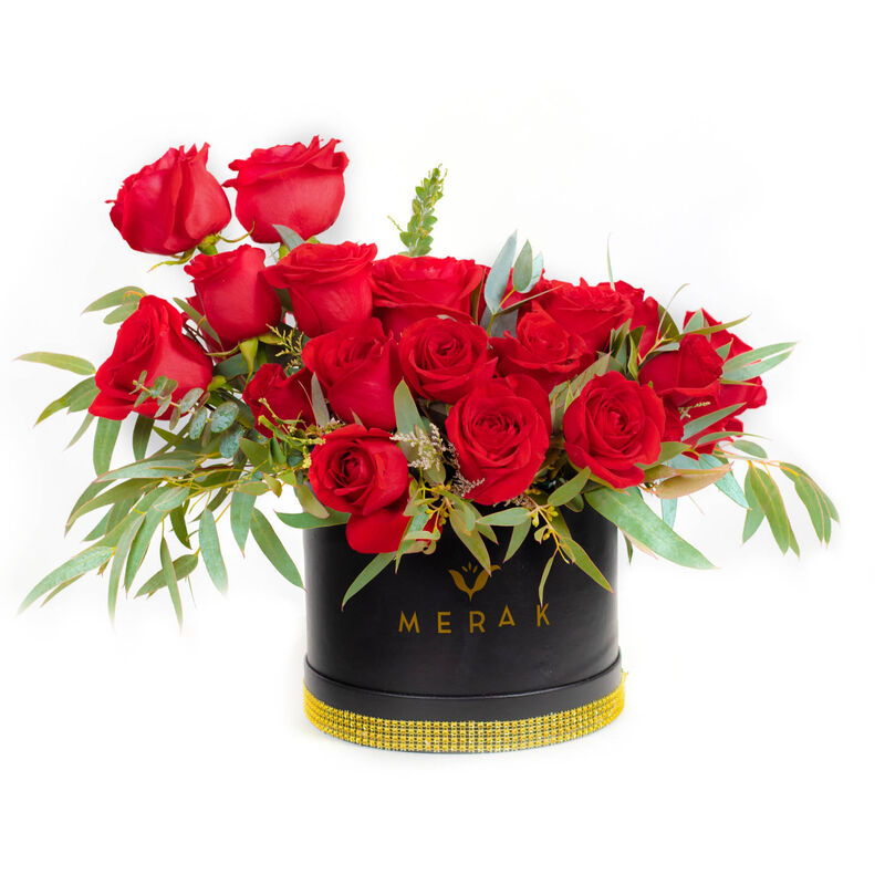 Cajita Romance image number null