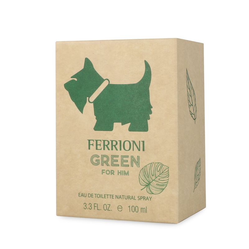 Ferrioni Green For Him 100Ml Edt Spray image number null