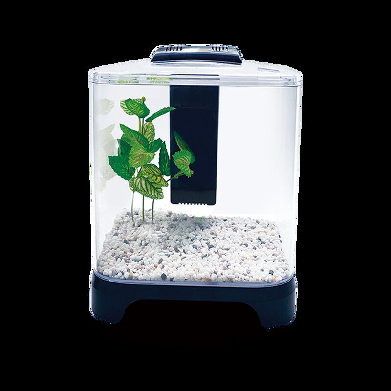 Lomas Acuario Mini 6L image number null