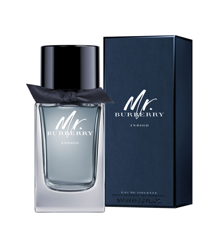 Perfume Mr. Burberry Indigo Burberry  100 Ml Ed... image number null