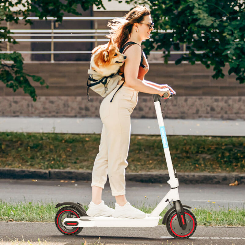 Scooter Eléctrico Honey Whale S2 Blanco image number null