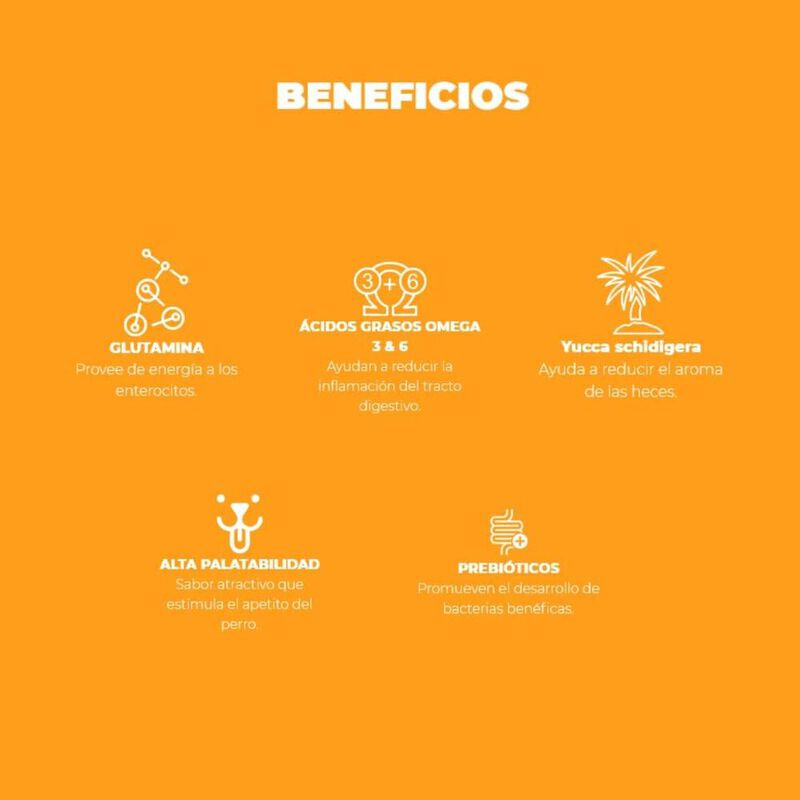 Nupec Digestive Health 2kg image number null