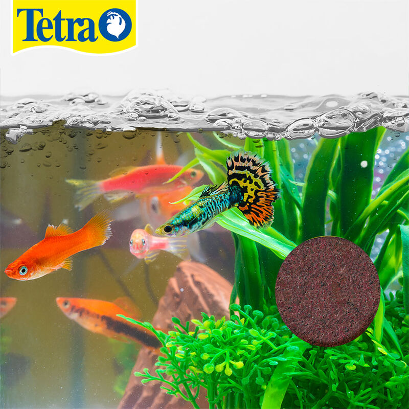 Tetra Tetravacation Alimento de Gel para Peces ... image number null