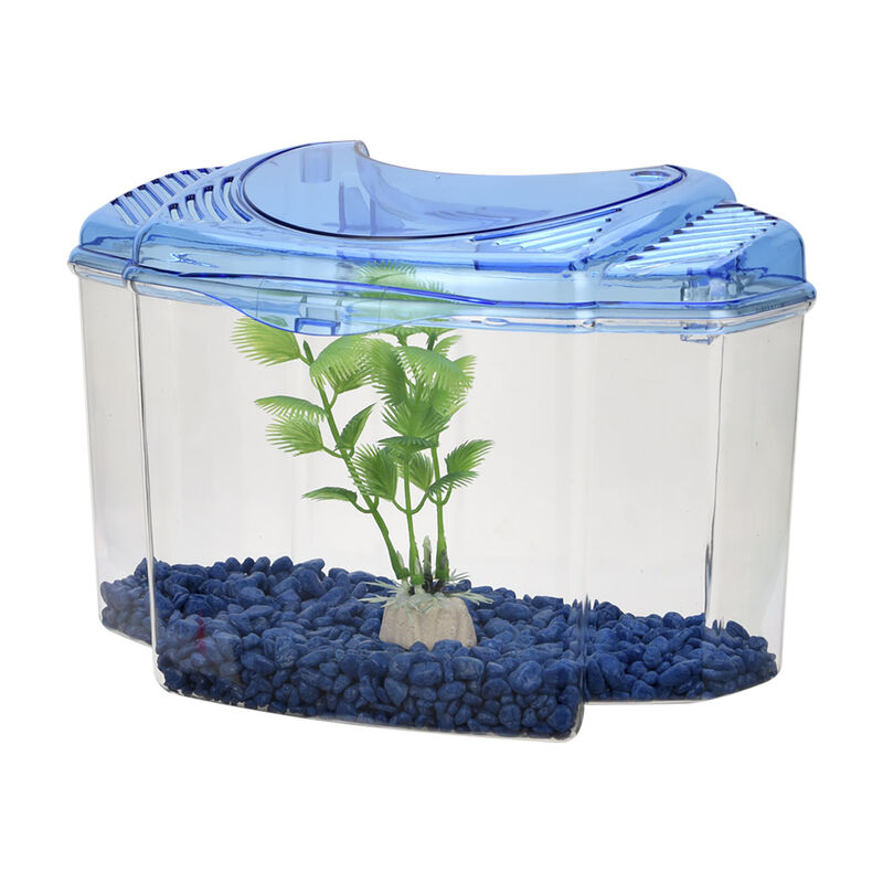 Lomas Kit Betera de Pl&aacute;stico para Iniciaci&oacute;n co... image number null