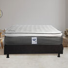 Colchón Matrimonial Spring Air Phantom + Box Dicasa Belu + Almohada Osos + Protector Spring Air