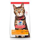 Feline Adult Light +1, 3.2 kg Feline Adult Light +1, 3.2 kg