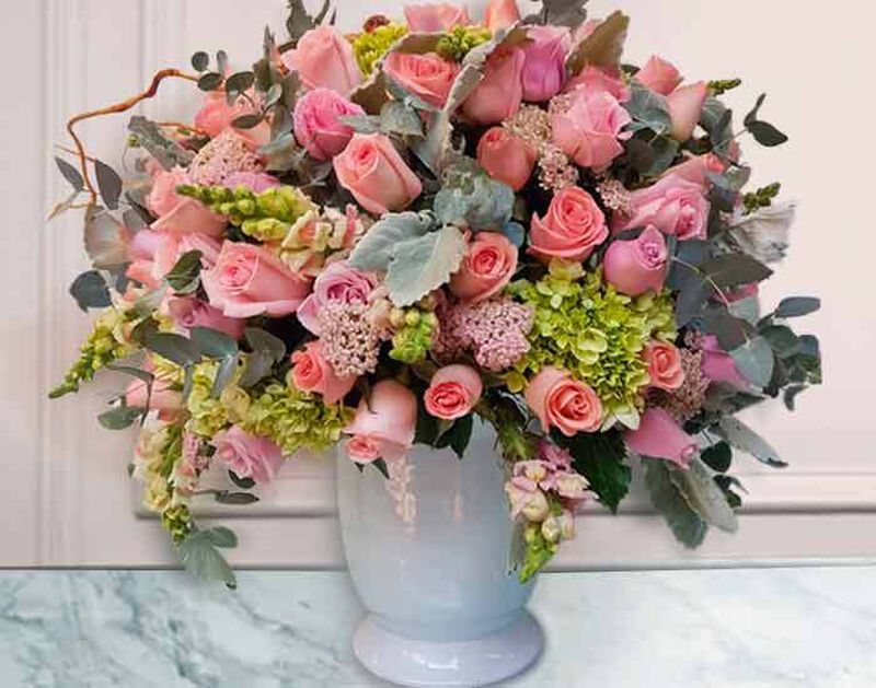 Rochelle image number null