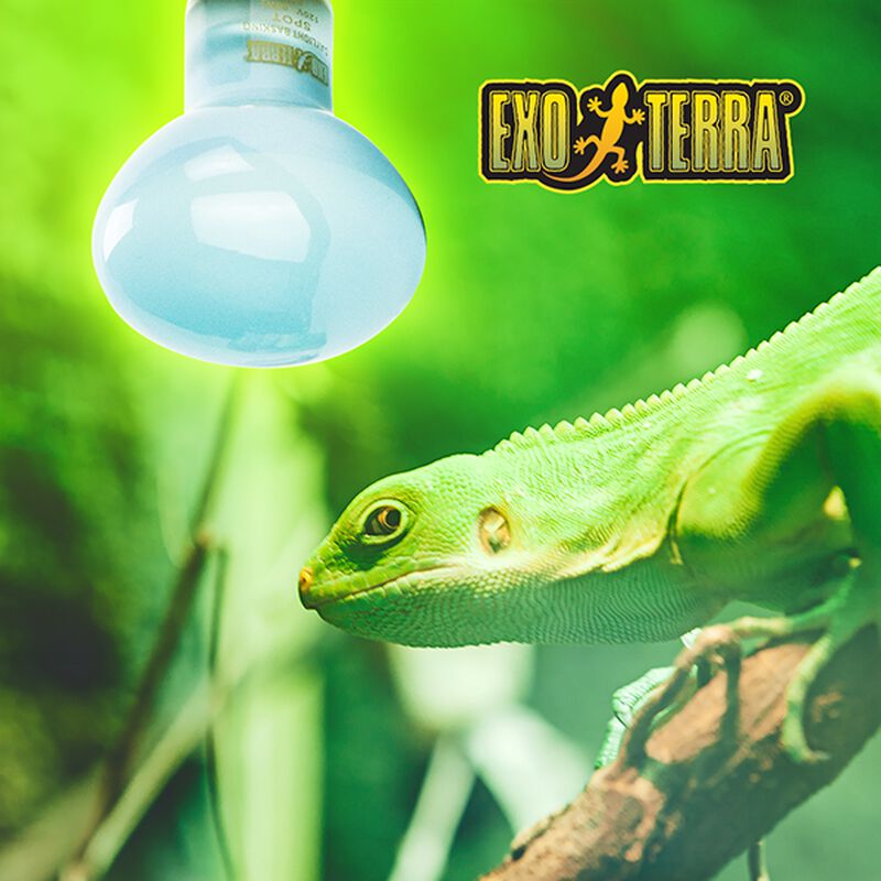 Hagen Foco Sun Glo Neodymium Exo-Terra 75 W image number null