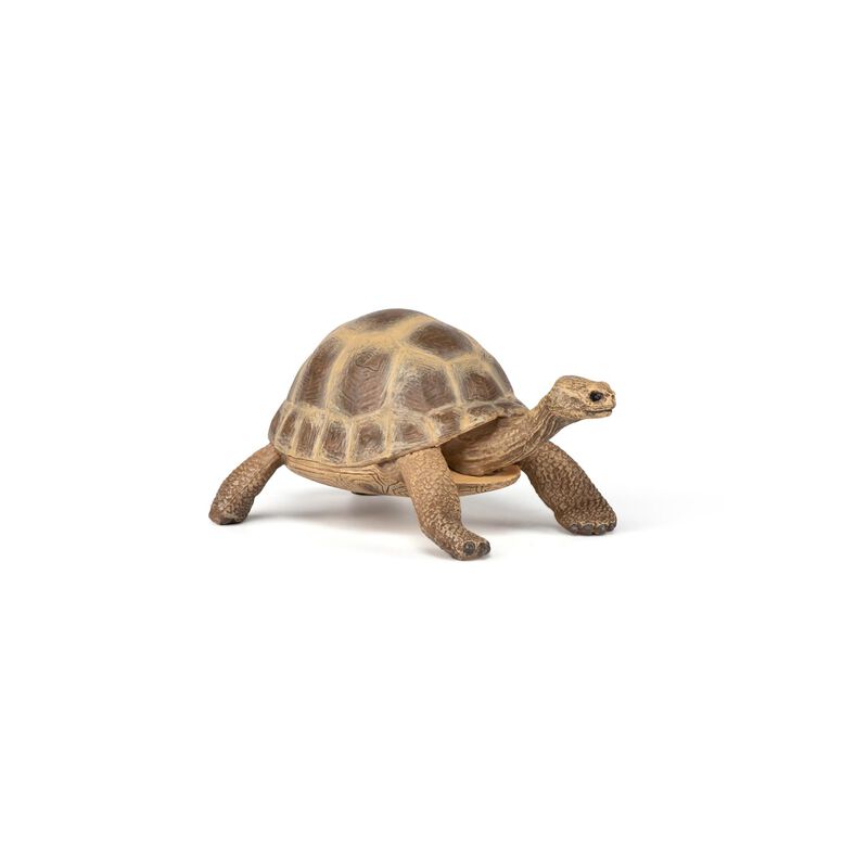Figurita De Tortuga Hermann De Papo &ndash; 3+ A&ntilde;os &ndash;... image number null