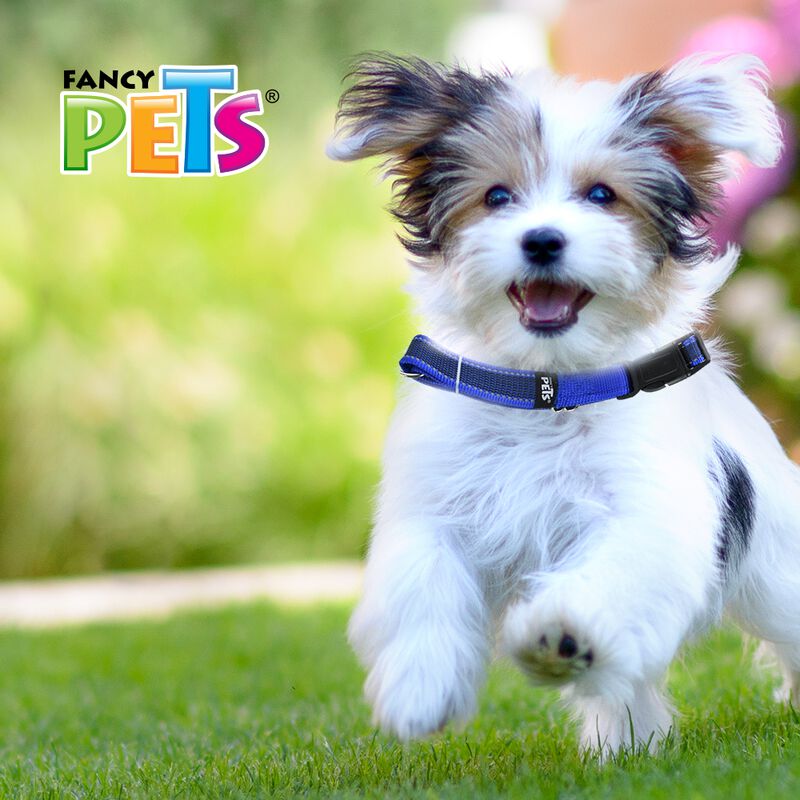 Fancy Pets Collar Con Ultra Grip Y Bandas Refle... image number null