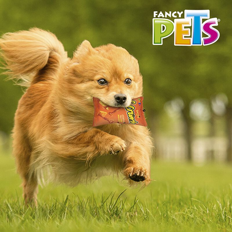 Fancy Pets Juguete de Tela Doggie Scrunch Queso... image number null
