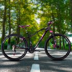 Bici Ranger Dim R26 Negro Rosa