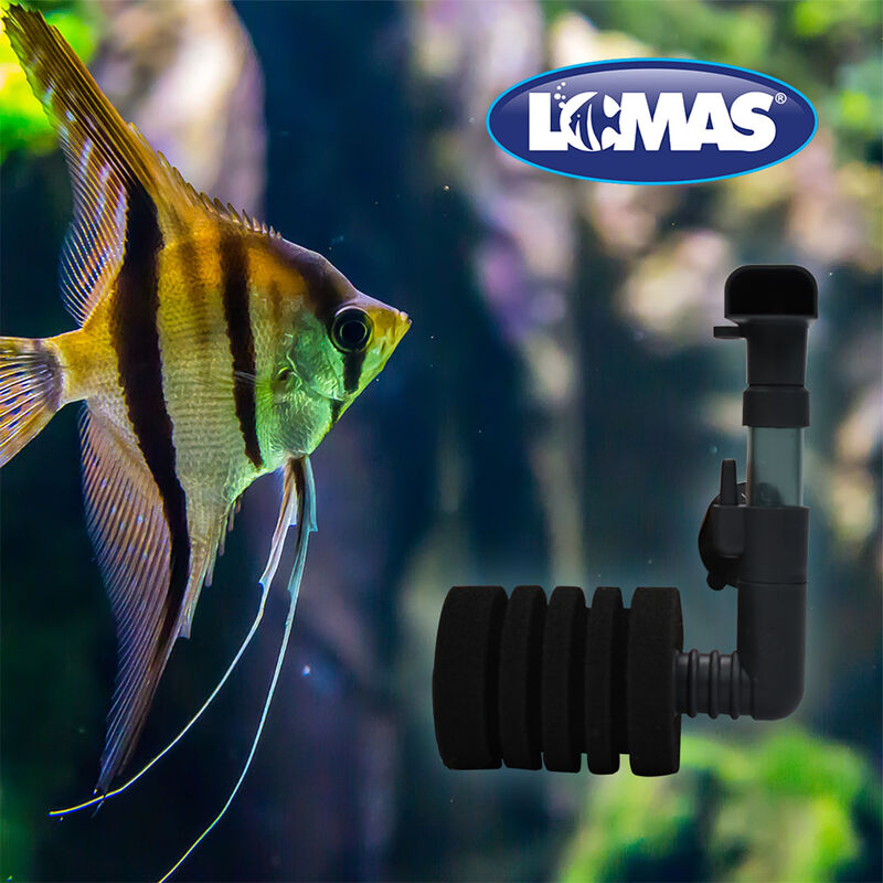 Lomas Filtro de Esponja Aquajet para Acuarios, ... image number null