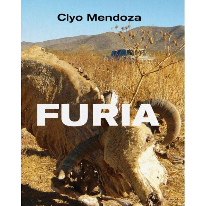 Furia image number null