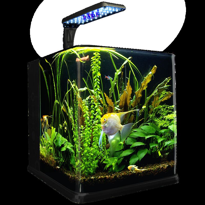 Lomas Acuario Nano Cubo De 9 L image number null
