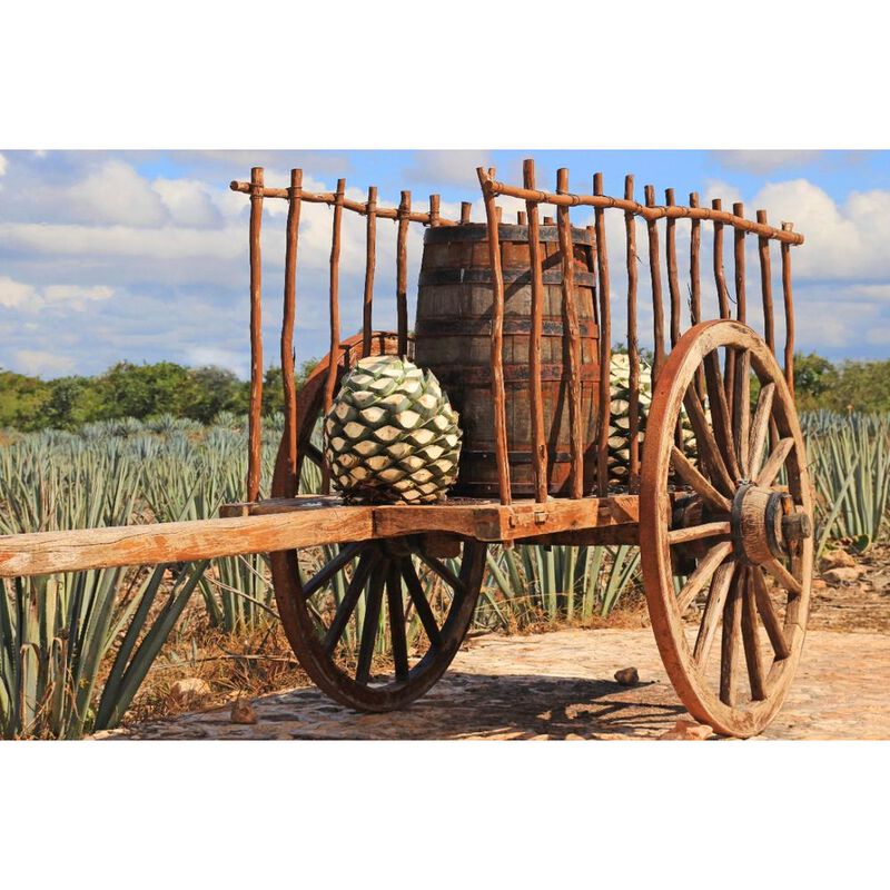 Rastrillo De Afeitar 1810 Metal Cromado 111mm image number null