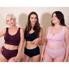 Kit 5 Pantys sin Costuras Control en Abdomen y Cintura 5 Colores CH