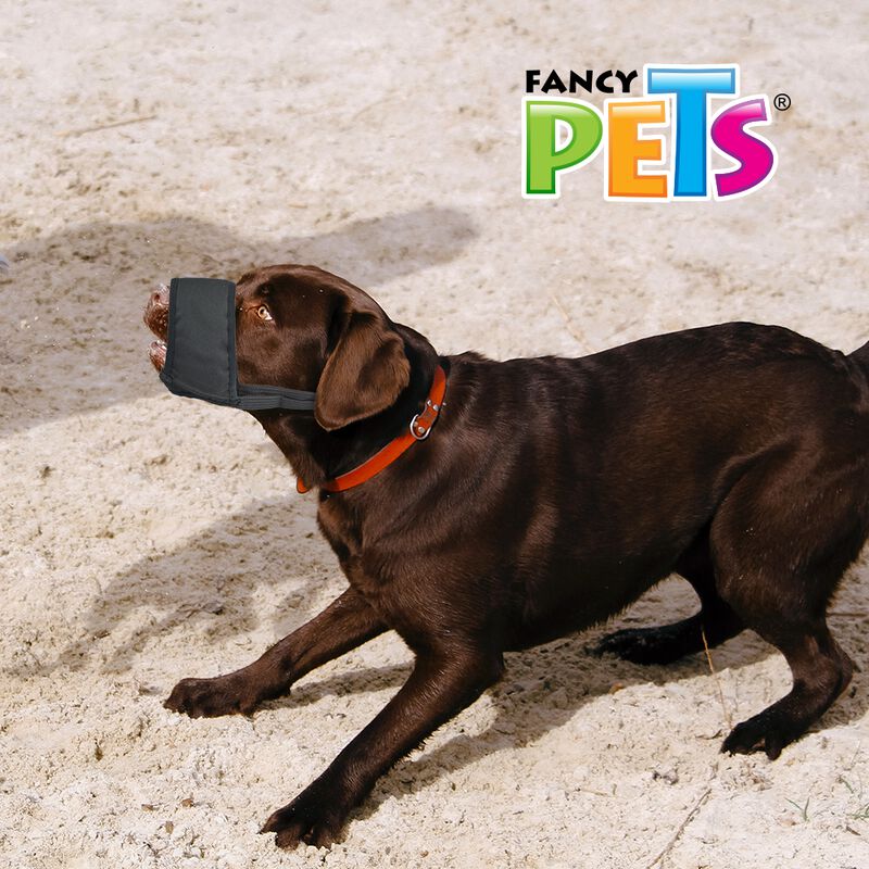 Fancy Pets Bozal Mediano con Forro de Malla par... image number null