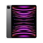 iPad Pro 12.9 MNXR3LZ/A Wi-Fi 256GB Gris Espacial