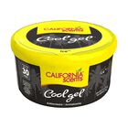 12 AROMATIZANTE GEL COCHE CALIFORNIA SCENTS ICE 2.5OZ