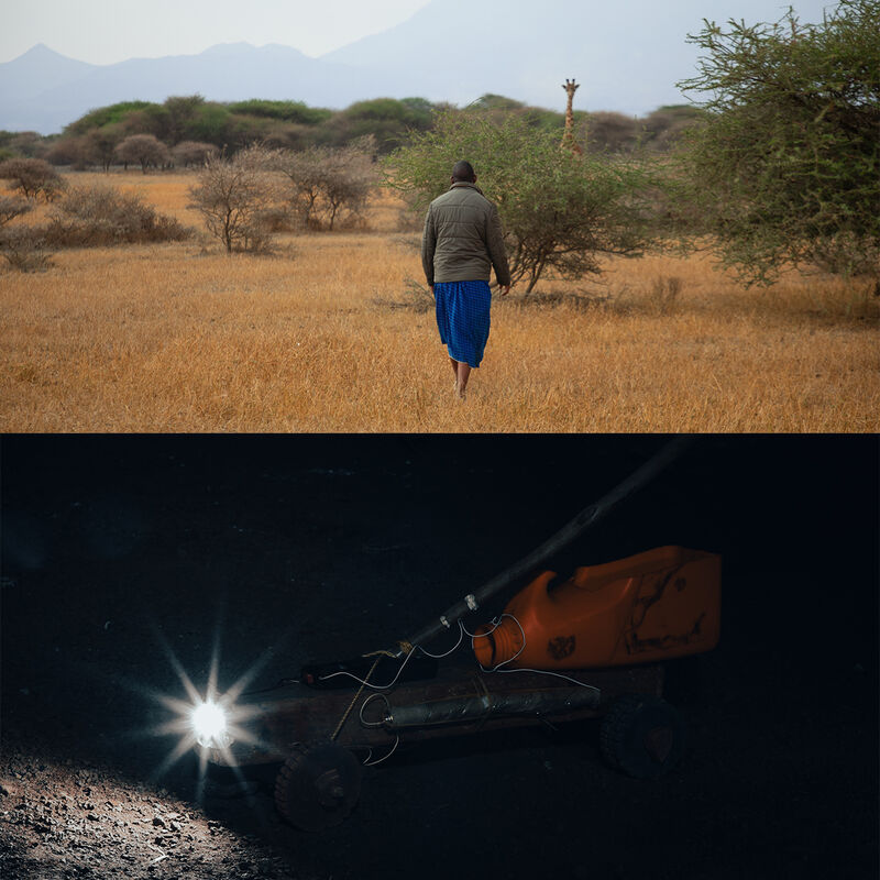 Safari Especializado en Migraciones image number null