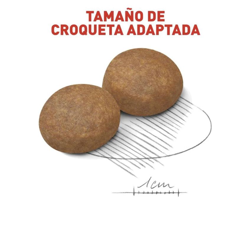 Royal Canin Medium Adult 7.7 Kg Original Sellad... image number null