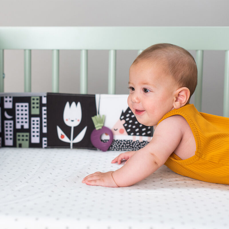 Libro Urban Garden image number null