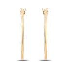 Arracadas Diamantadas Oro 10k 15 Mm | Bizzarro