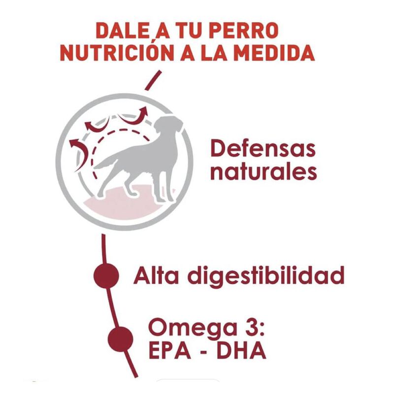 Royal Canin Medium Adult 7.7 Kg Original Sellad... image number null