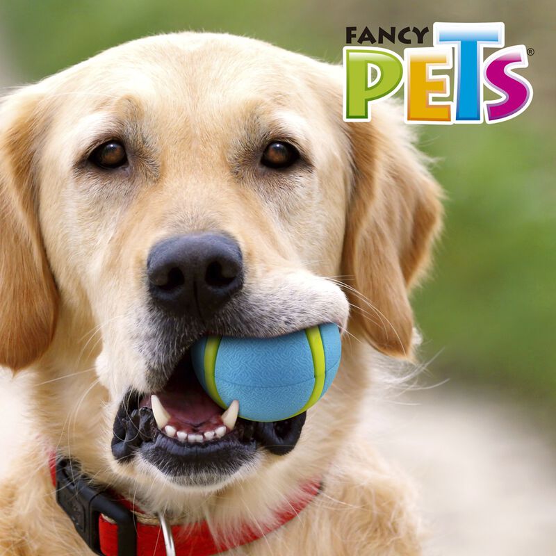 Fancy Pets Pelota Fetch Sport Color Azul para P... image number null