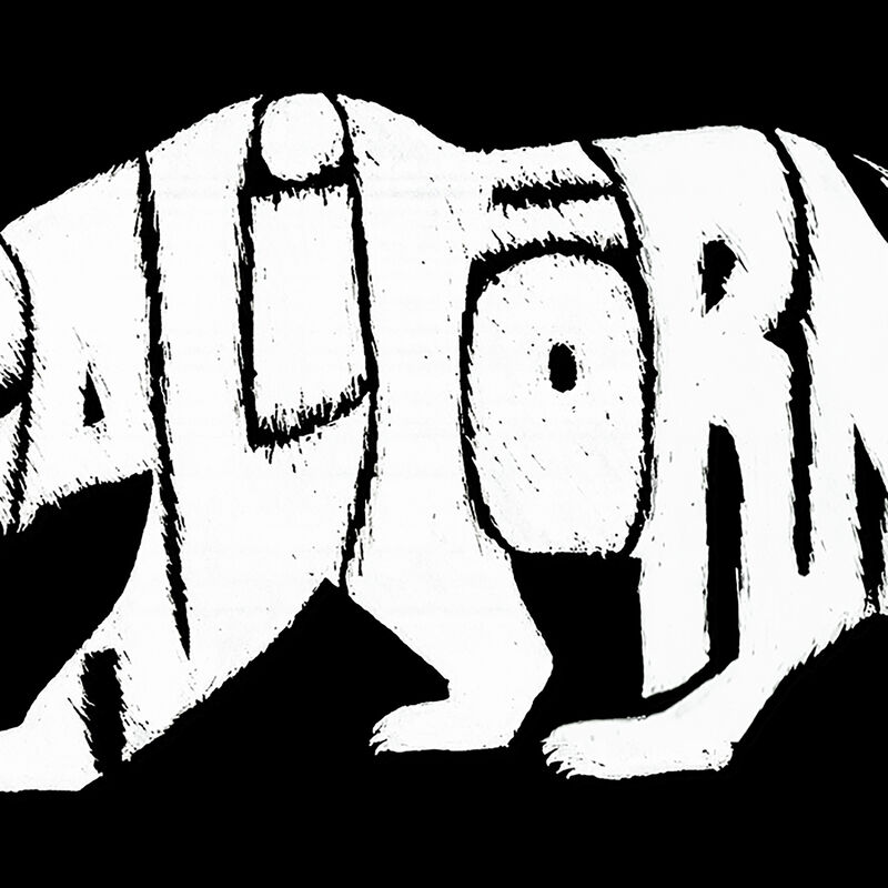 Camiseta Word Art Para Mujer - Oso de Californi... image number null