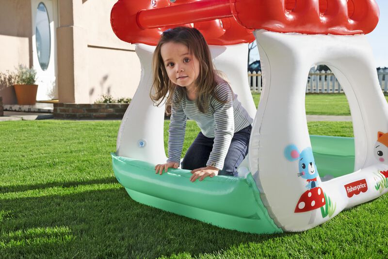 &nbsp;Centro de juegos Fisher Price pozo de pelotas ... image number null