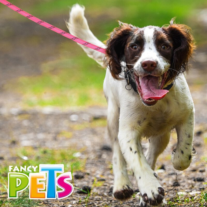 Fancy Pets Correa de Cuerda color Rosa 1.60 Met... image number null