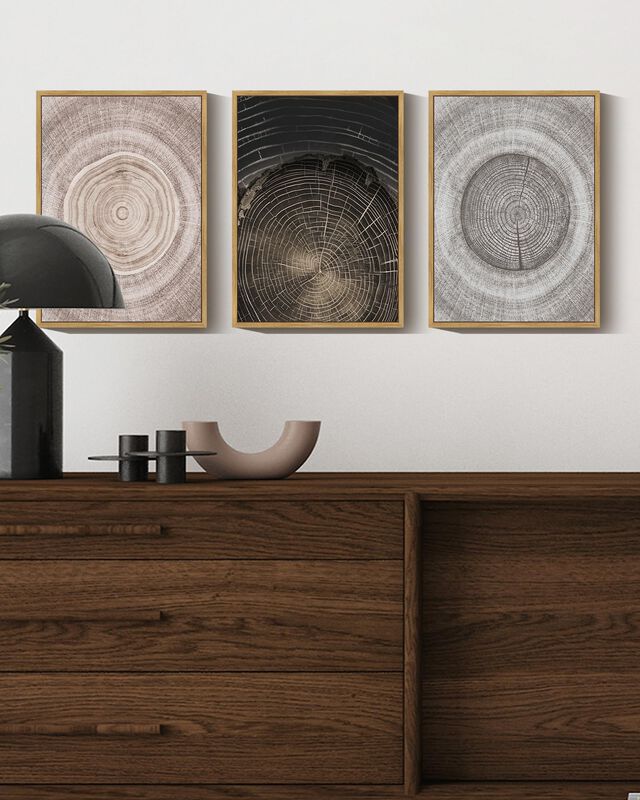 Arte Mural Phopago, Anillos Vintage De Madera C... image number null