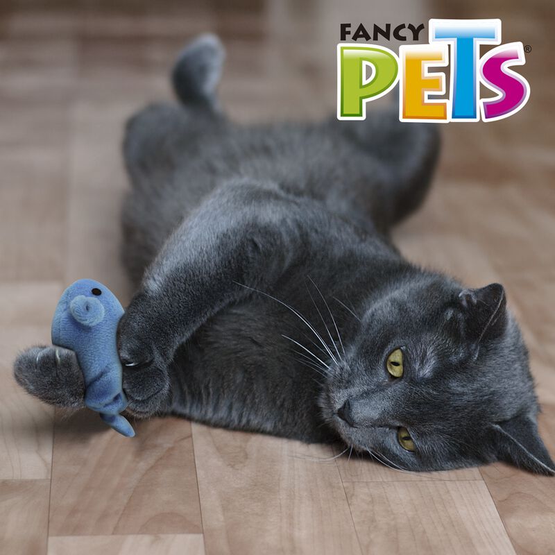 Fancy Pets Juguete Catch Con Forma De Pez Que V... image number null