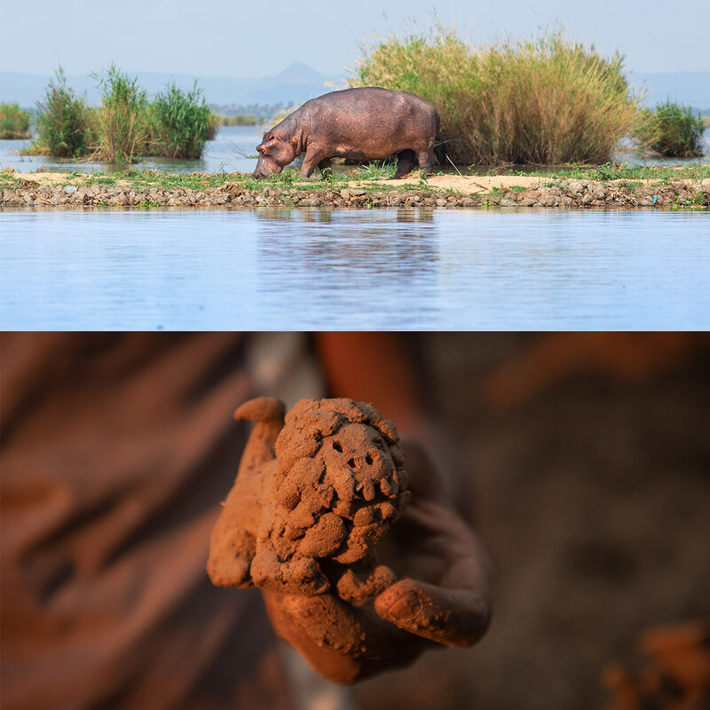 Cultura Africana image number null