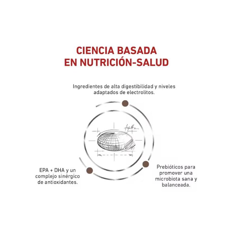 Royal Canin Gastro-Intestinal 10 Kg Original Se... image number null