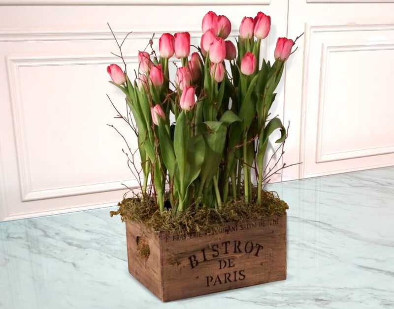 Bistrot image number null