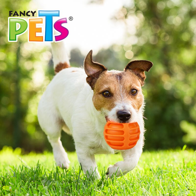 Fancy Pets Juguete Pelota de Caucho Acalanada p... image number null