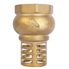 V&aacute;lvula De Pie (pichancha) Con Rejilla De Lat&oacute;n, 1 1/4", Iusa