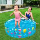 Alberca Rígida Redonda Decorada Mar 1 Modelo 1.22X25Cm 48X10 Pulg Caja 1